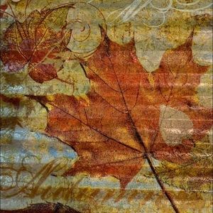 Meet your Posher, Maureen